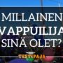 Millainen vappuilija sinä olet
