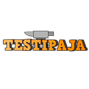 Testipaja logo
